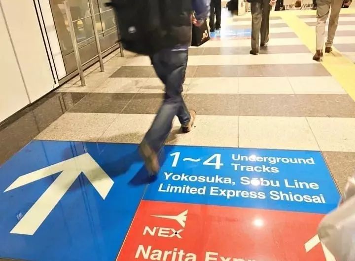 潜派旅行