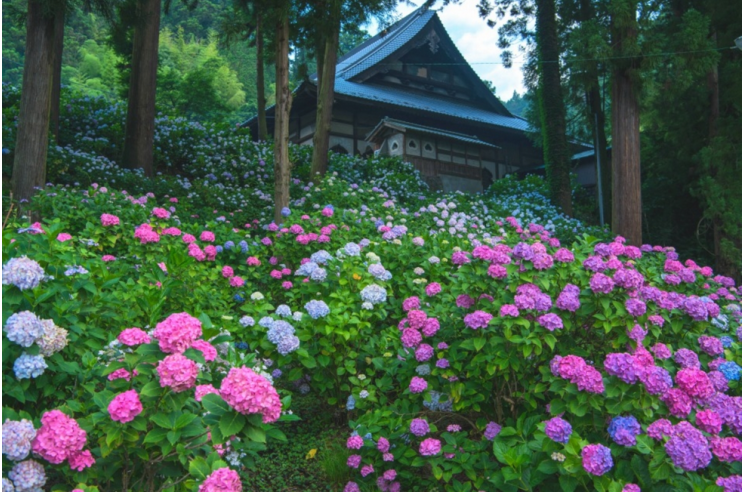 潜派旅行