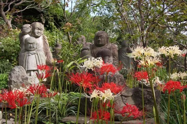 潜派旅行