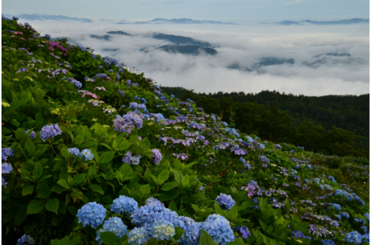 潜派旅行