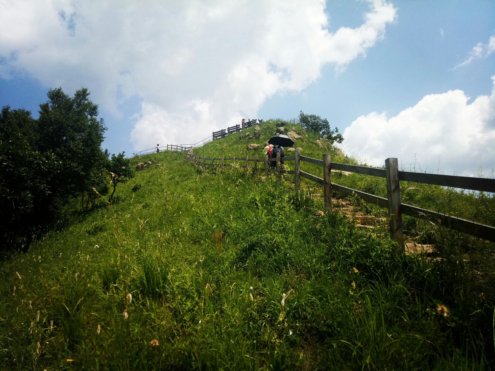 2019-7-14河北赤城海陀山谷