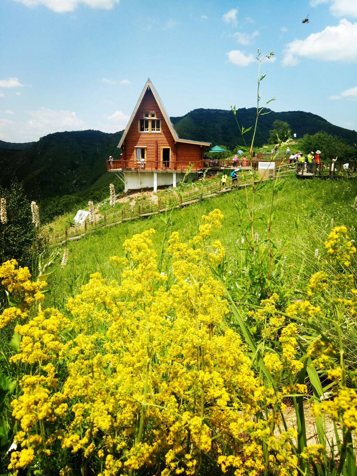 2019-7-14河北赤城海陀山谷