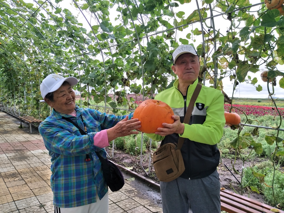 宝泉岭花海，游了一遍又一遍哈(2019.8.18周日 阴雨)_游记