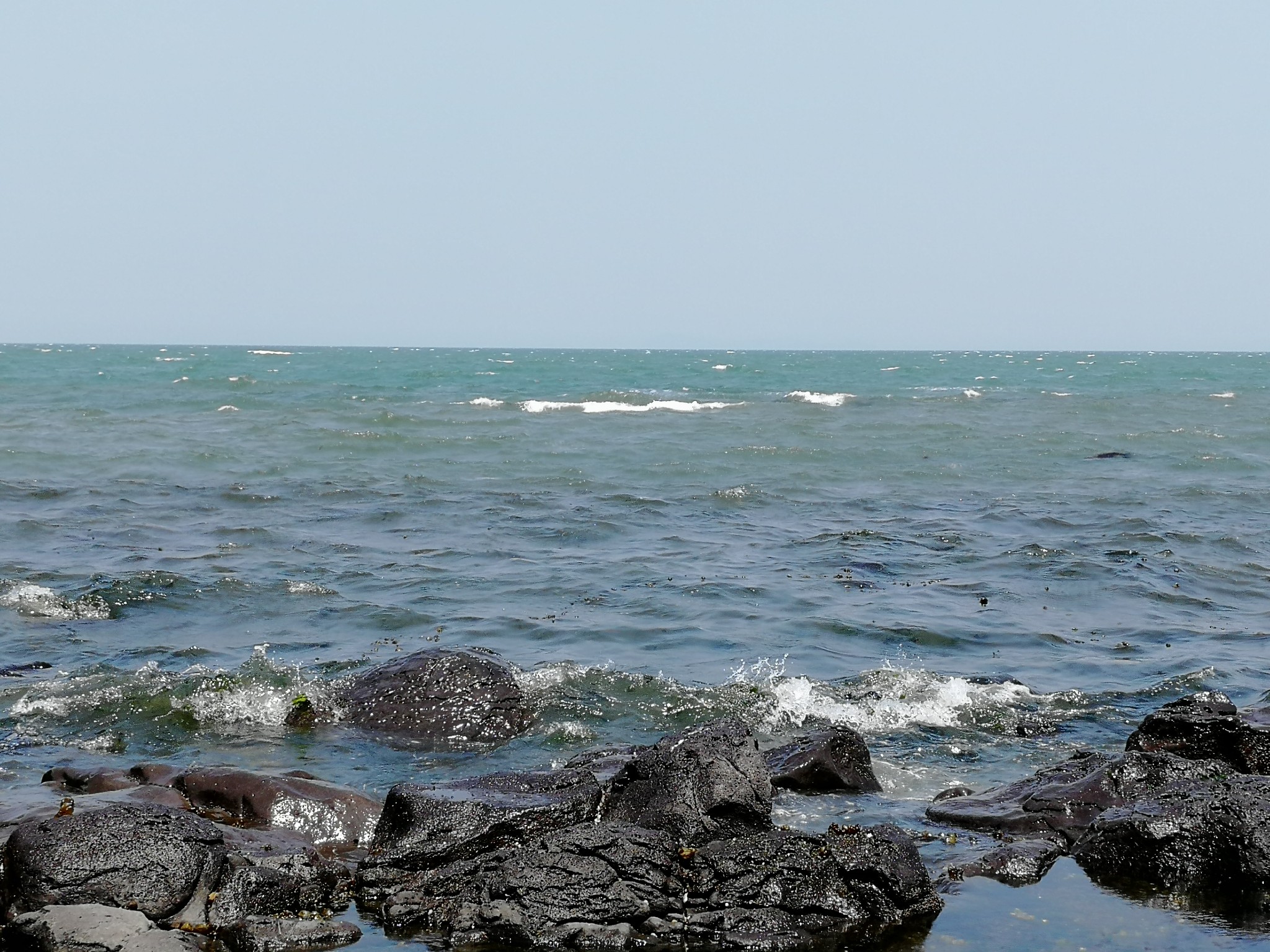 龙口水碧,桑岛槐香