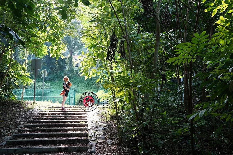 潜派旅行
