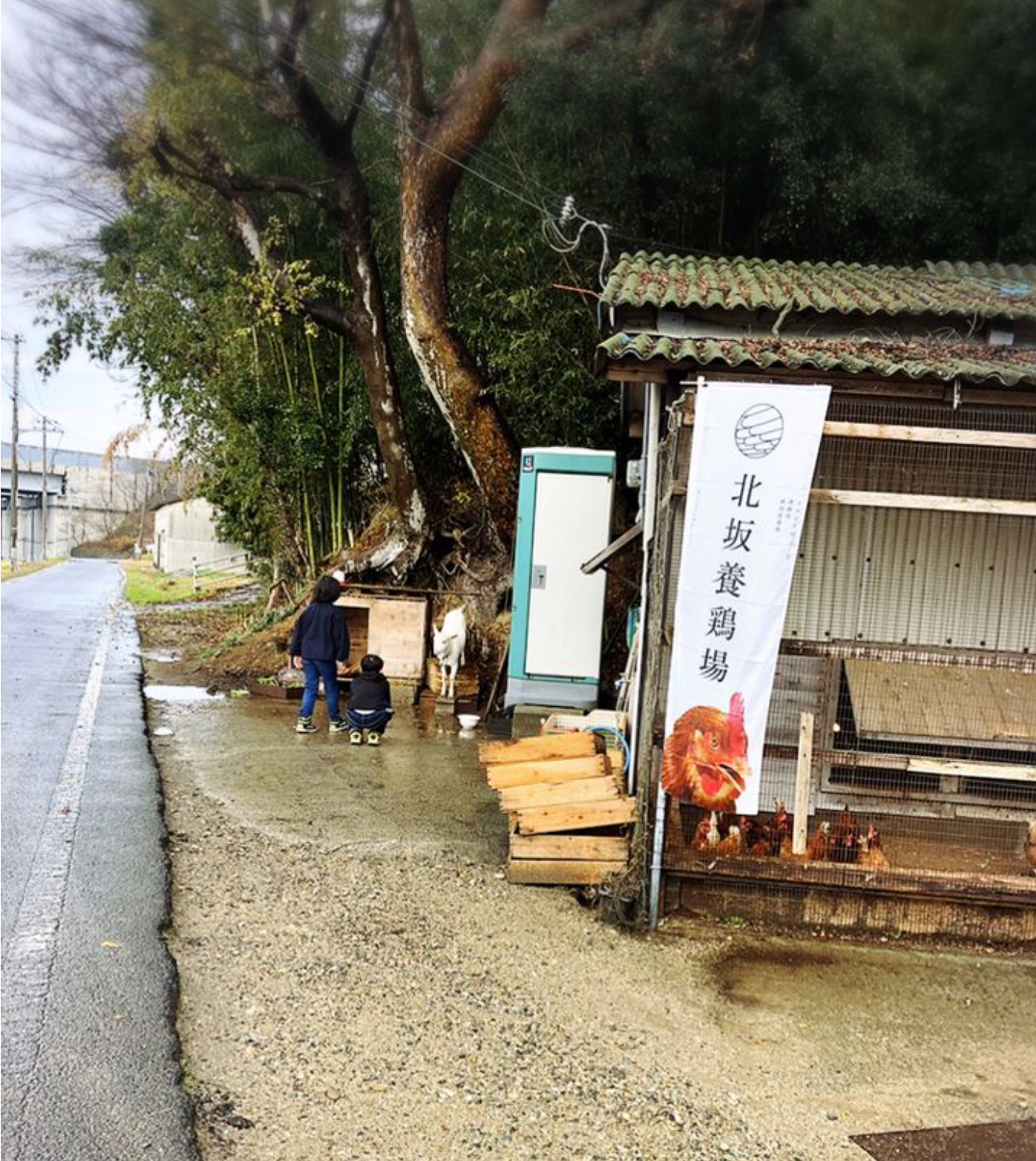 潜派旅行