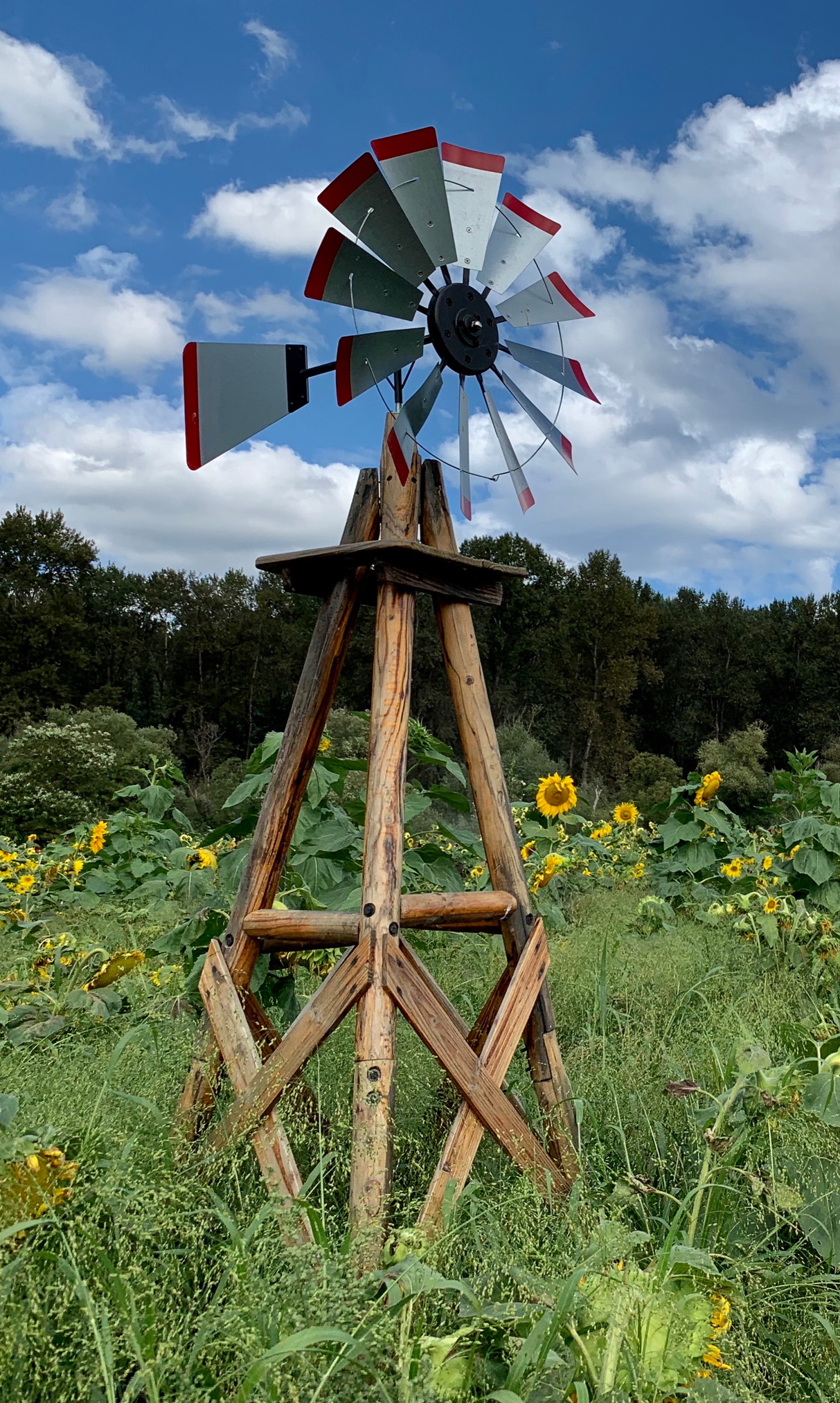 斯诺霍米什县娱乐-Bob's Corn and Pumpkin Farm