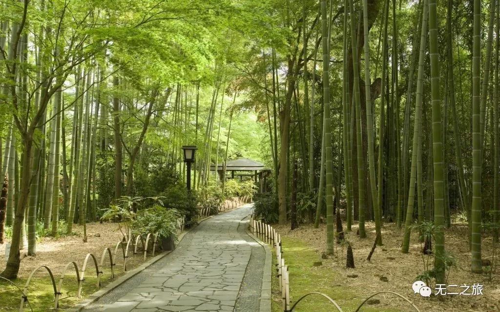 潜派旅行