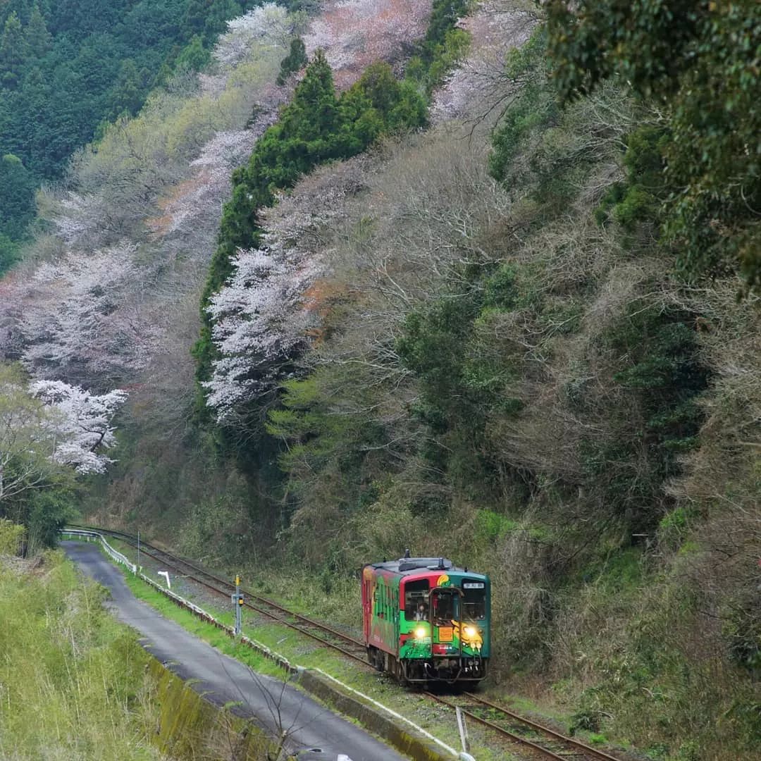 潜派旅行