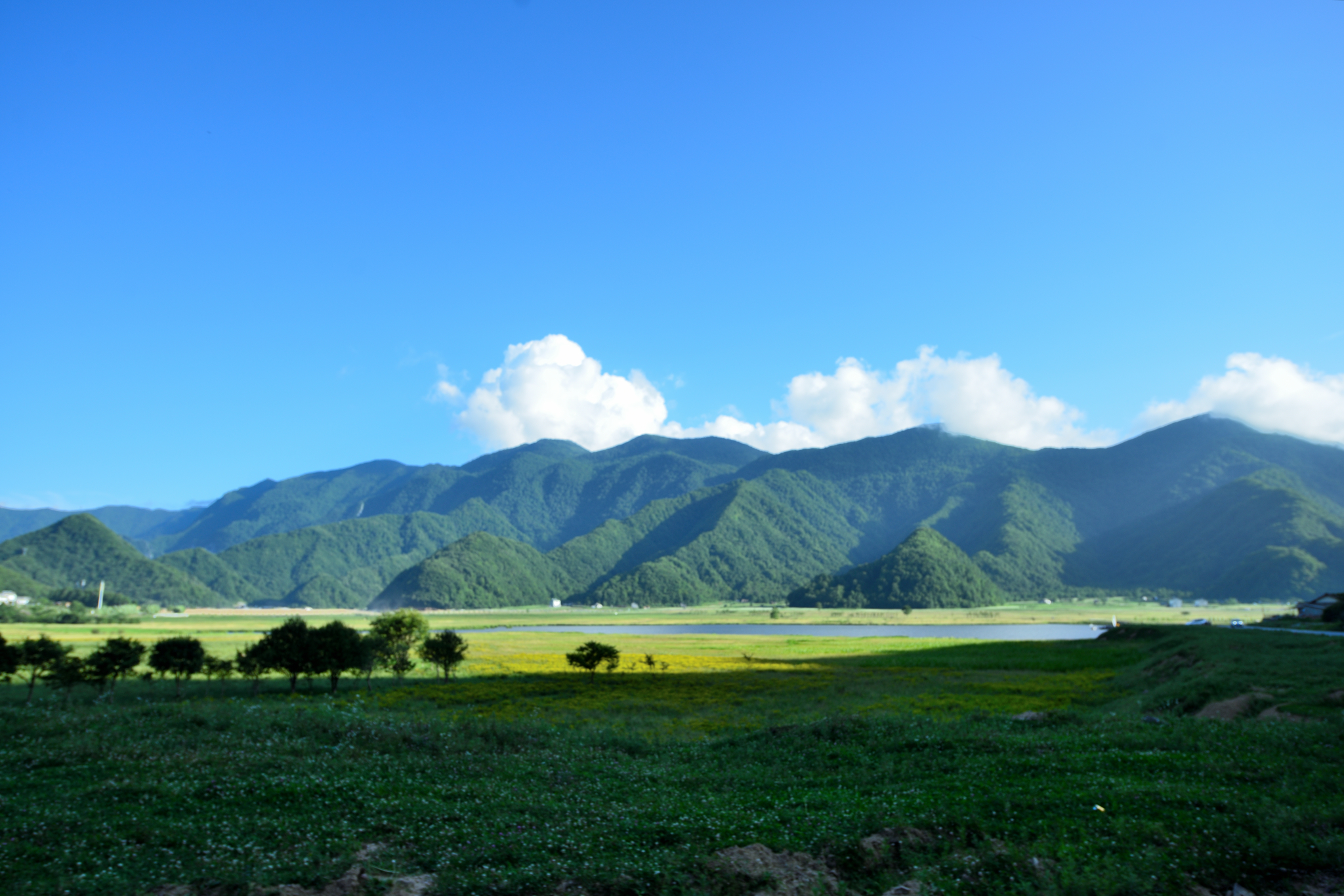 高山草甸里的堵河源头 溪串九珠——大九湖赏美景