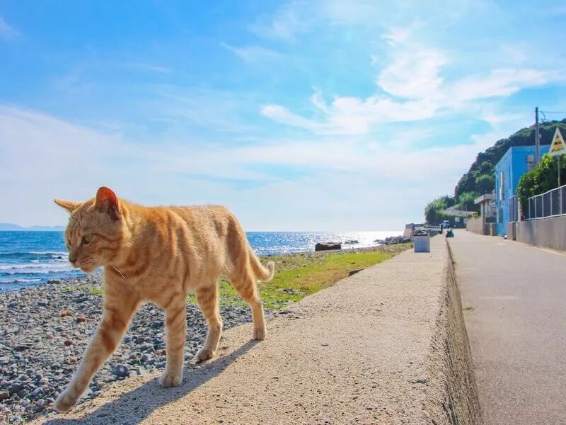 潜派旅行