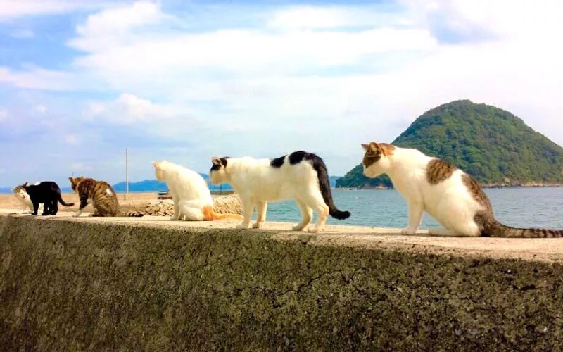 潜派旅行