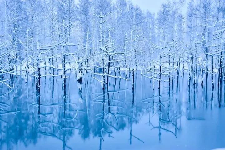 潜派旅行