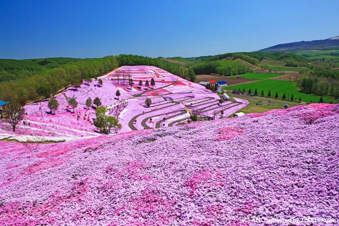 潜派旅行