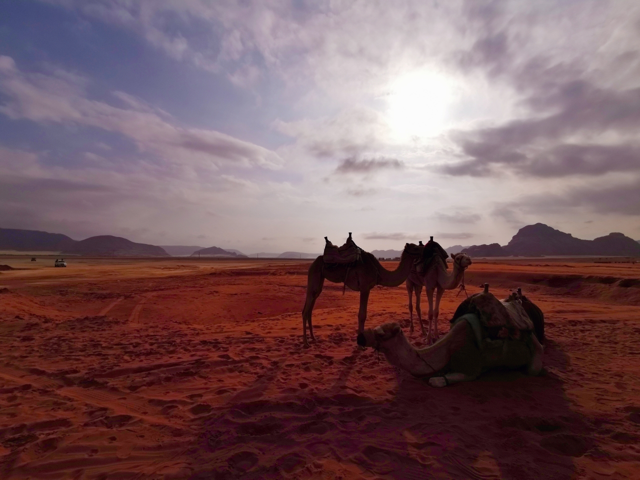 【约旦图片】【版图】（222）—【尘埃之舞】（约旦）