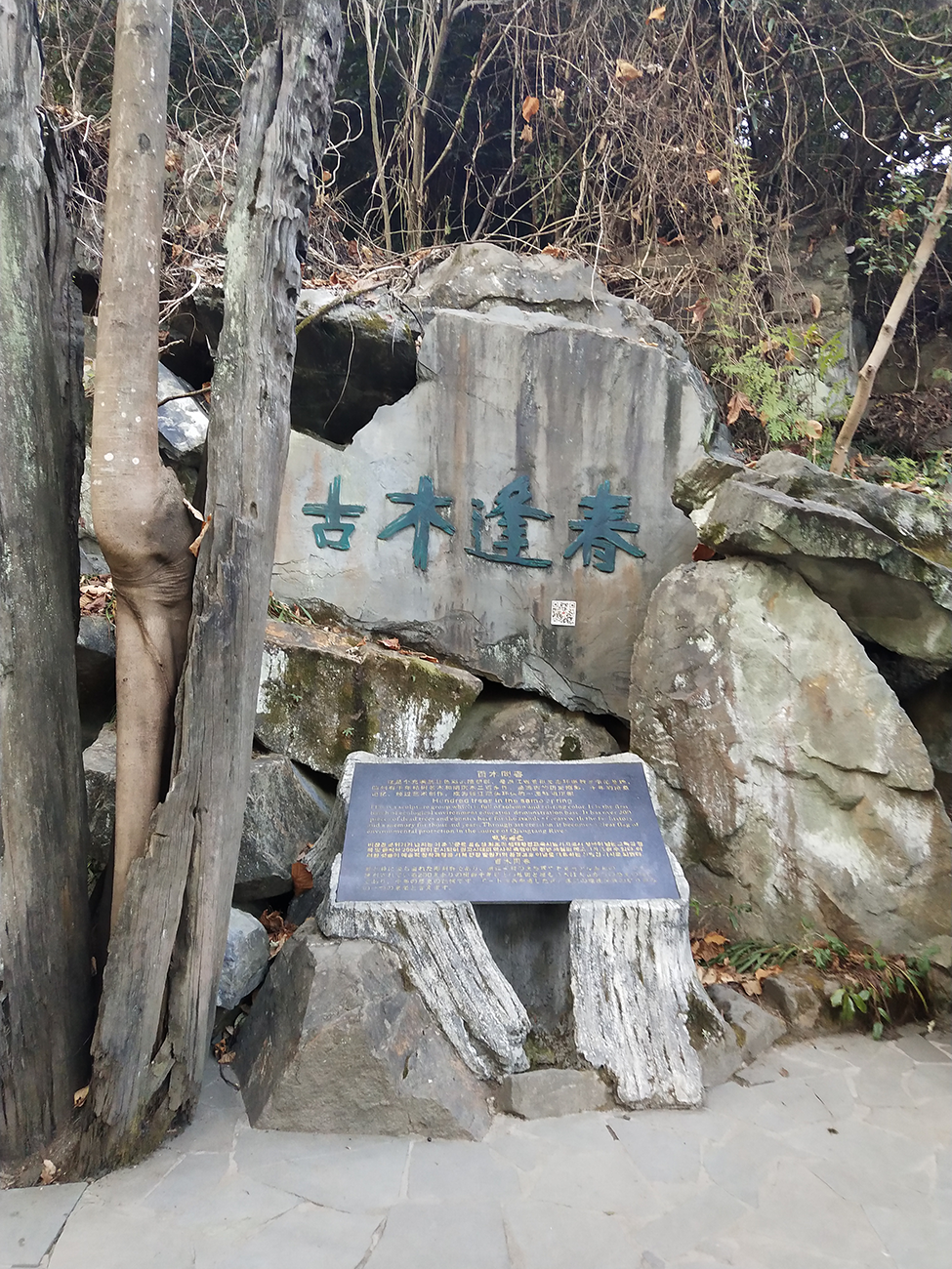 开化根雕根宫佛国游记