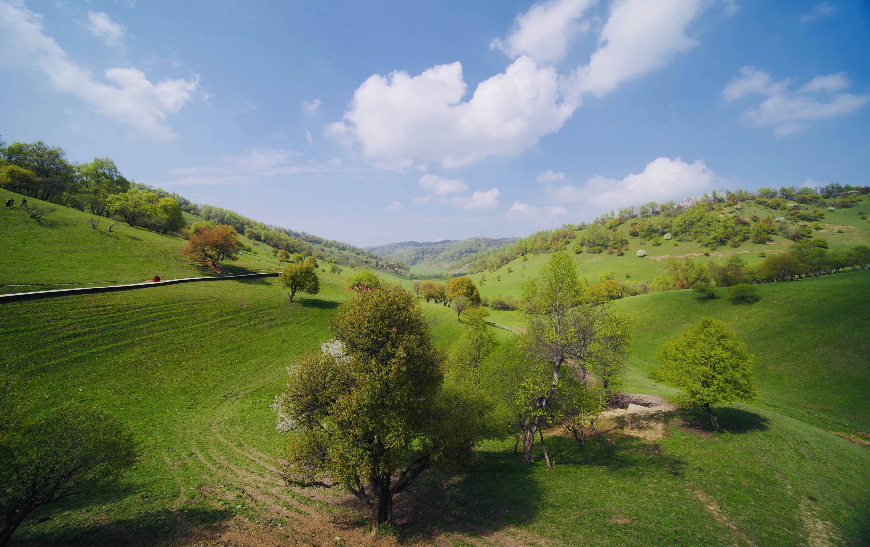 太白县美食-怀彦小吃店