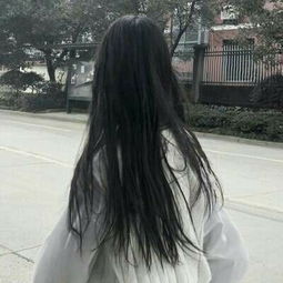 赵飞雁