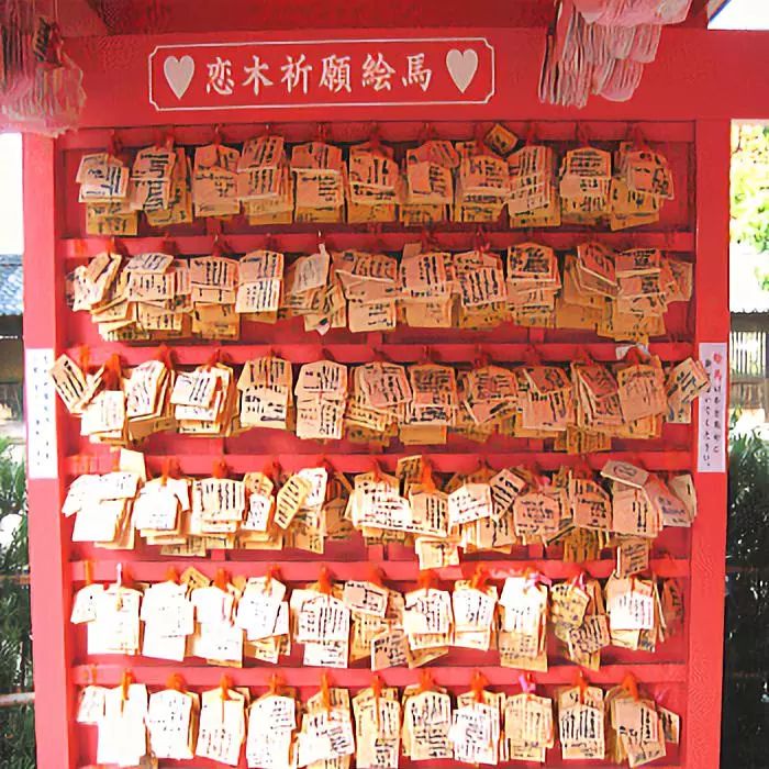 潜派旅行