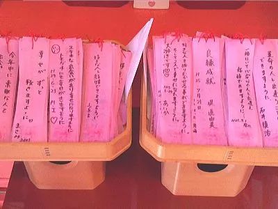 潜派旅行