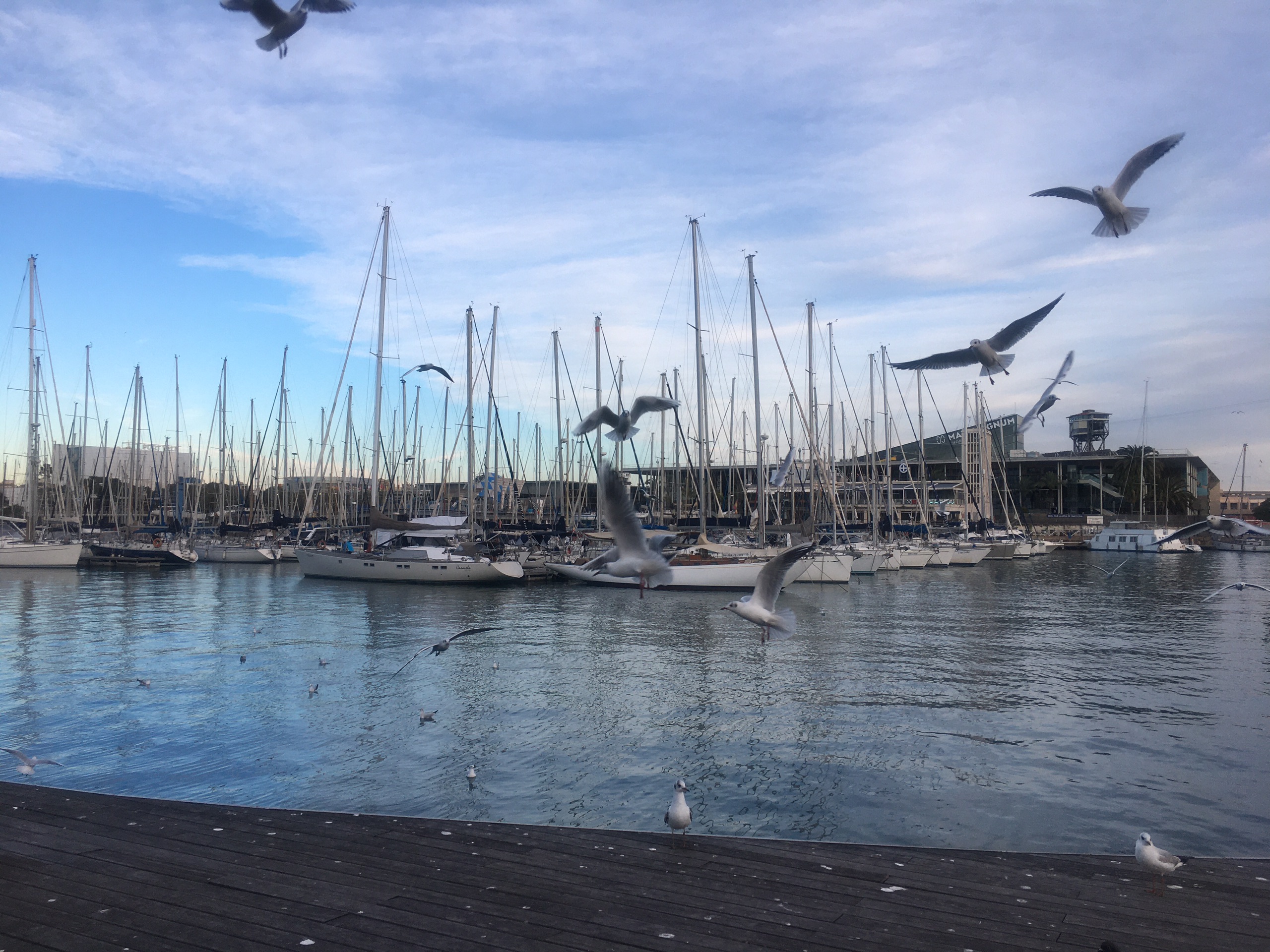 巴塞罗那娱乐-Pailebot de Santa Eulalia