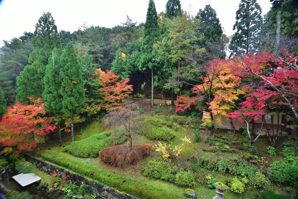 潜派旅行