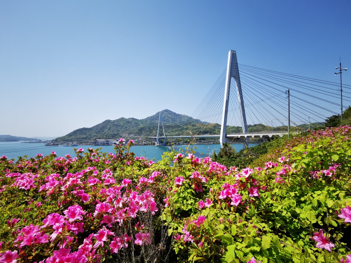 岛波海道SHIMANAMI-KAIDO一日骑行_游记