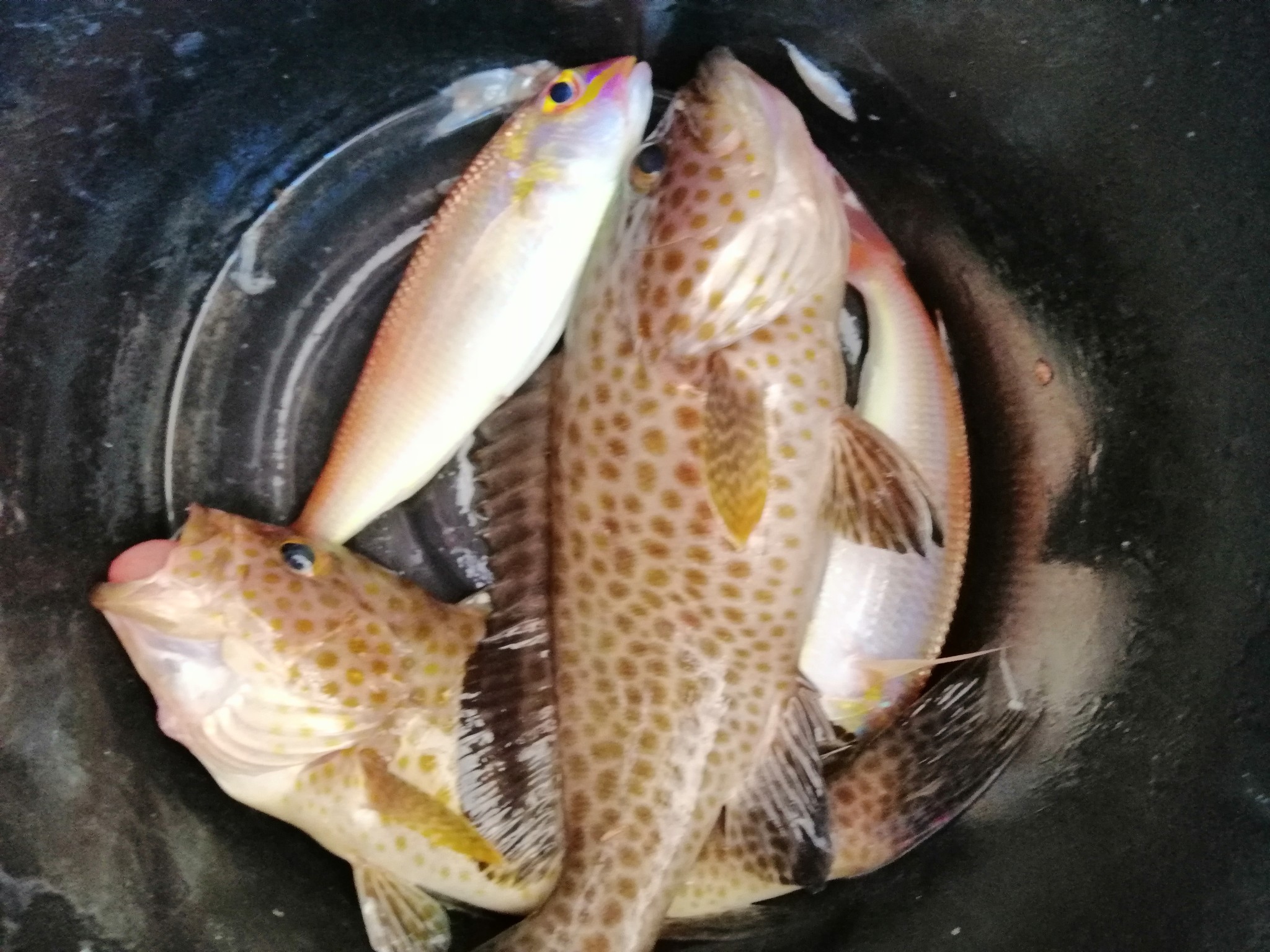 泰国旅游记（上）