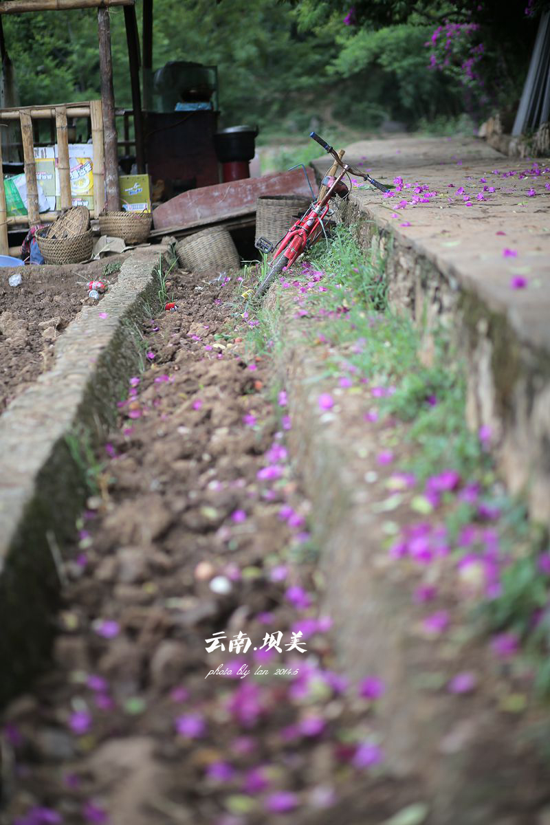 云南旅游攻略：坝美村_游记