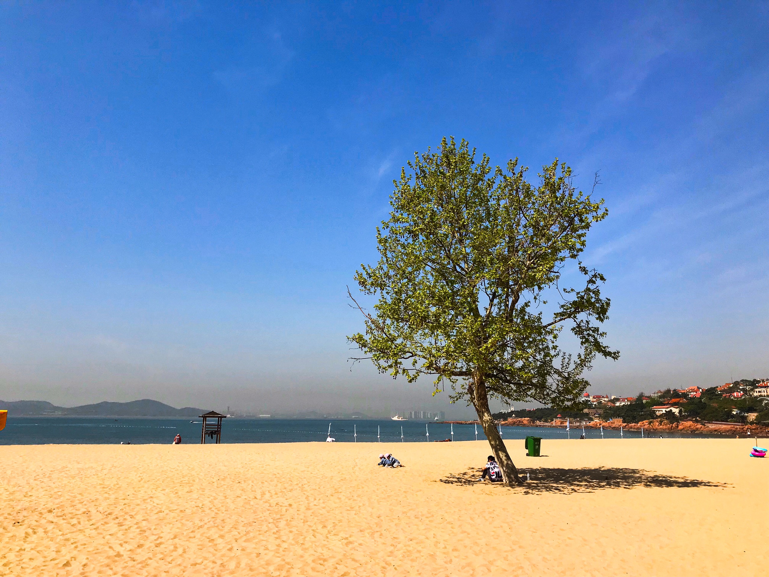 青岛美食-海岸烧烤