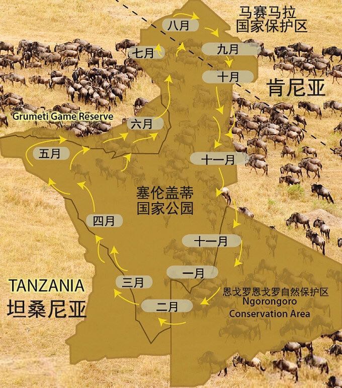 纯干货 2019年10月非洲坦桑归来，最新实用攻略_游记