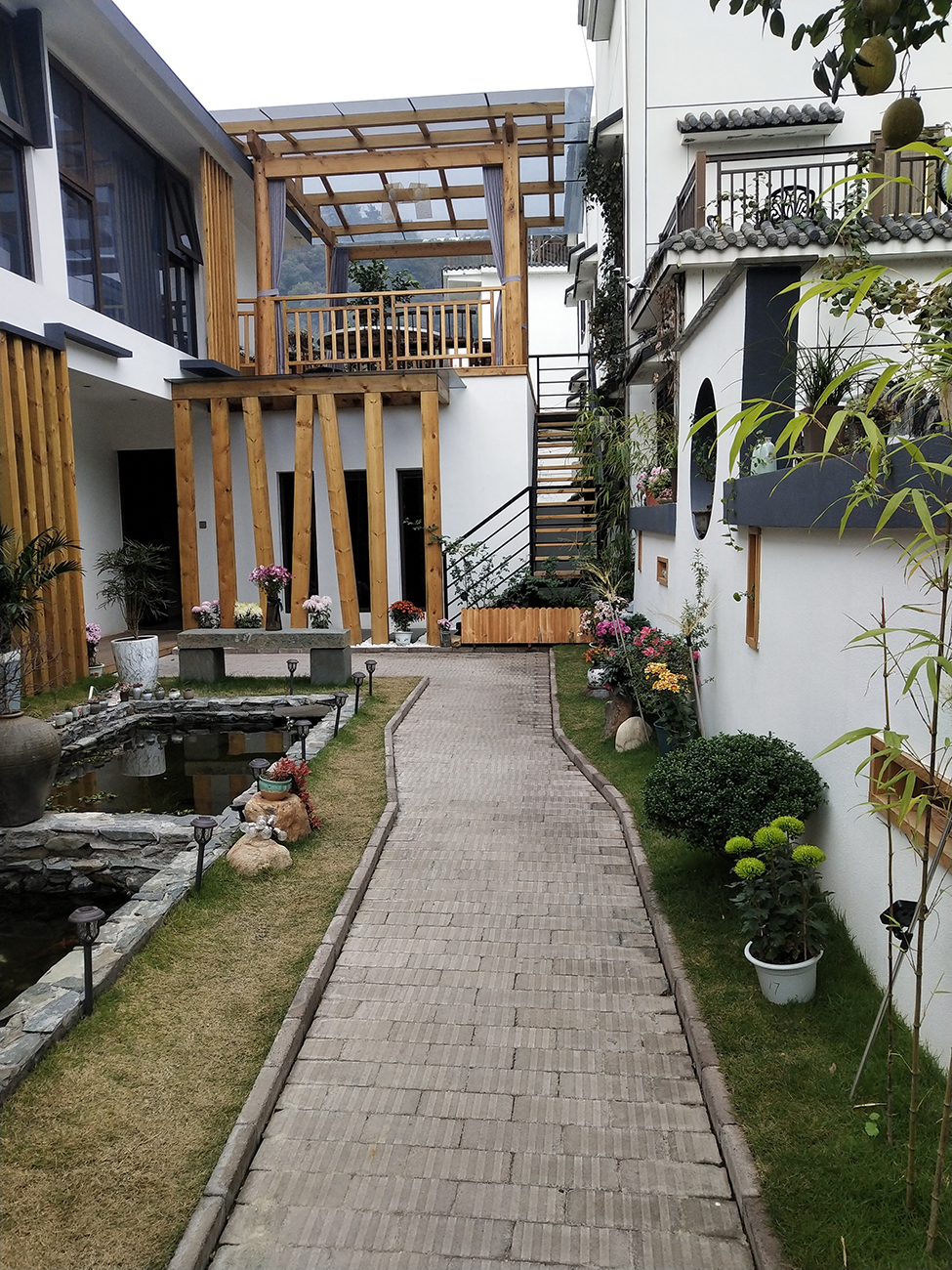 这个冬天与精彩华埠面对面