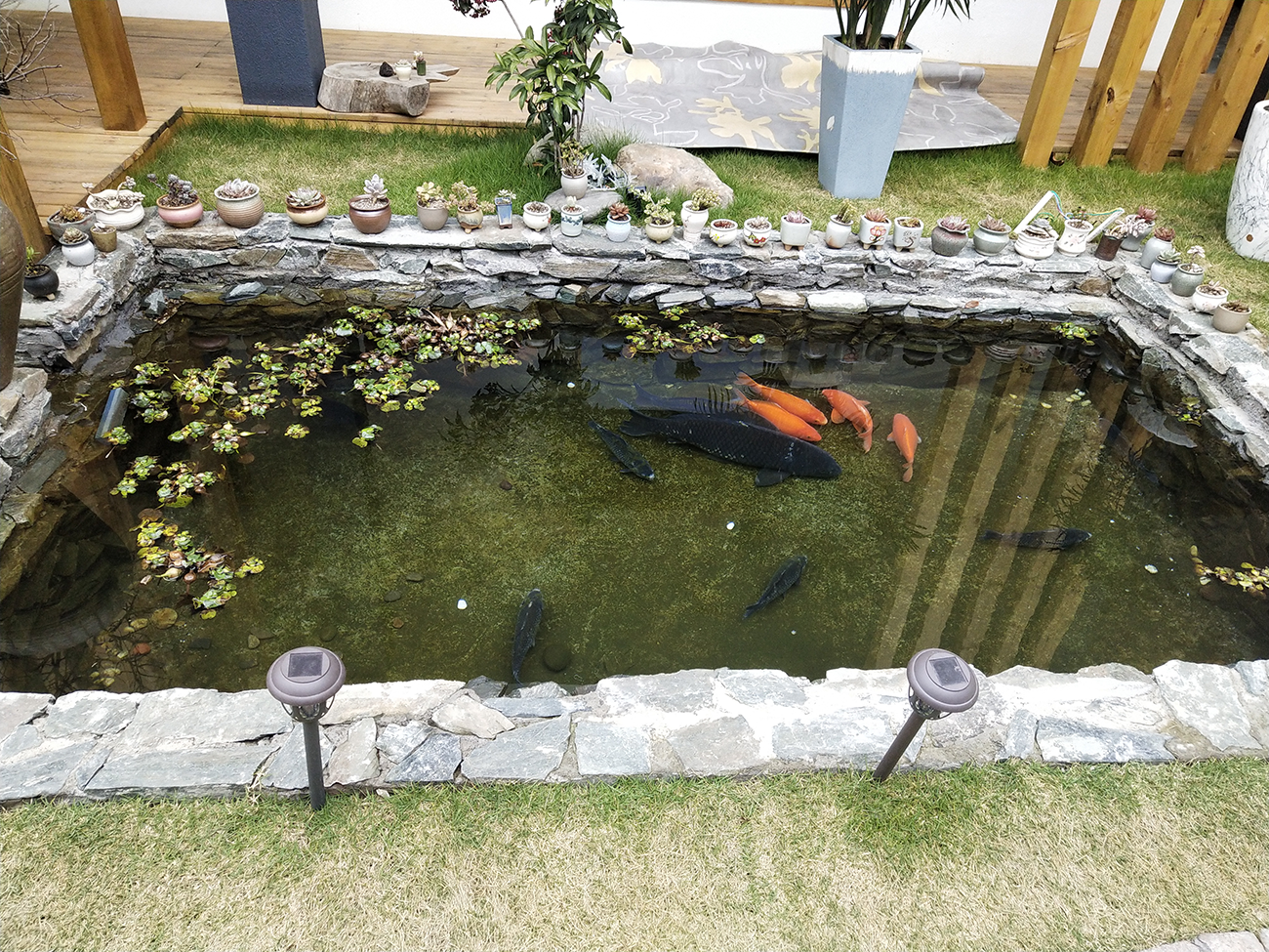 这个冬天与精彩华埠面对面