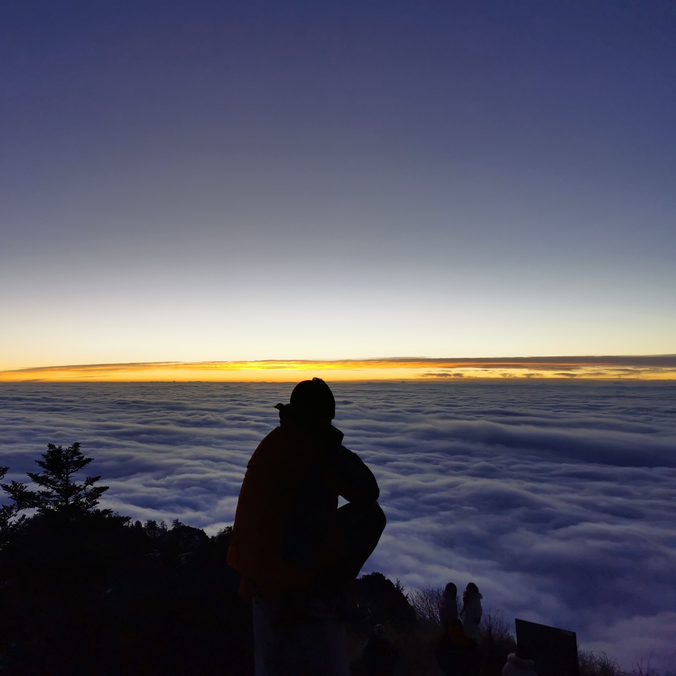 朝野.