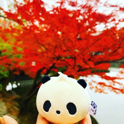 KAWAII_N