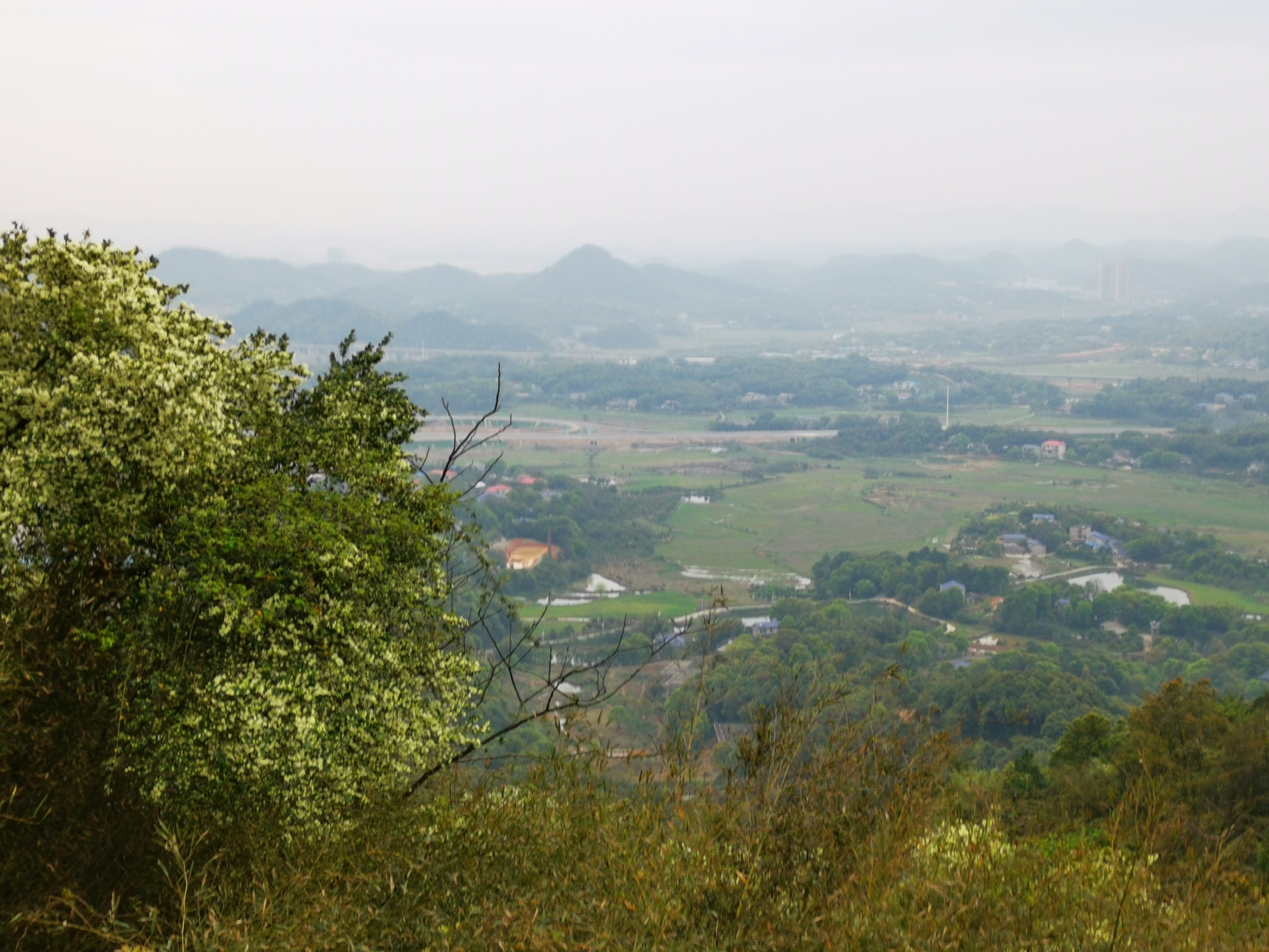 老长沙带你发现小众赏樱佳处望城玉湖公园乌山森林公园