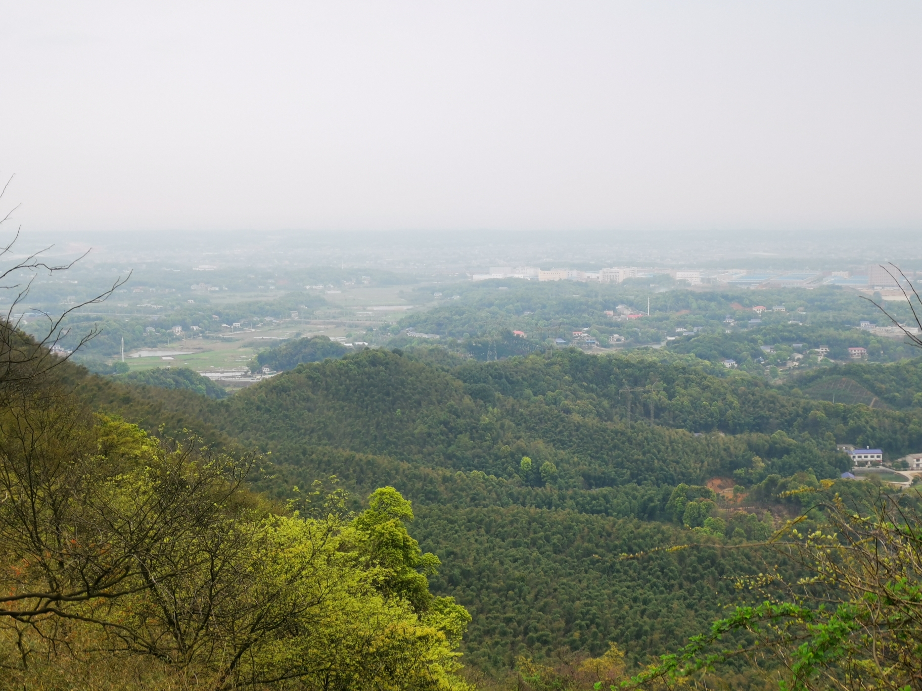 老长沙带你发现小众赏樱佳处望城玉湖公园乌山森林公园