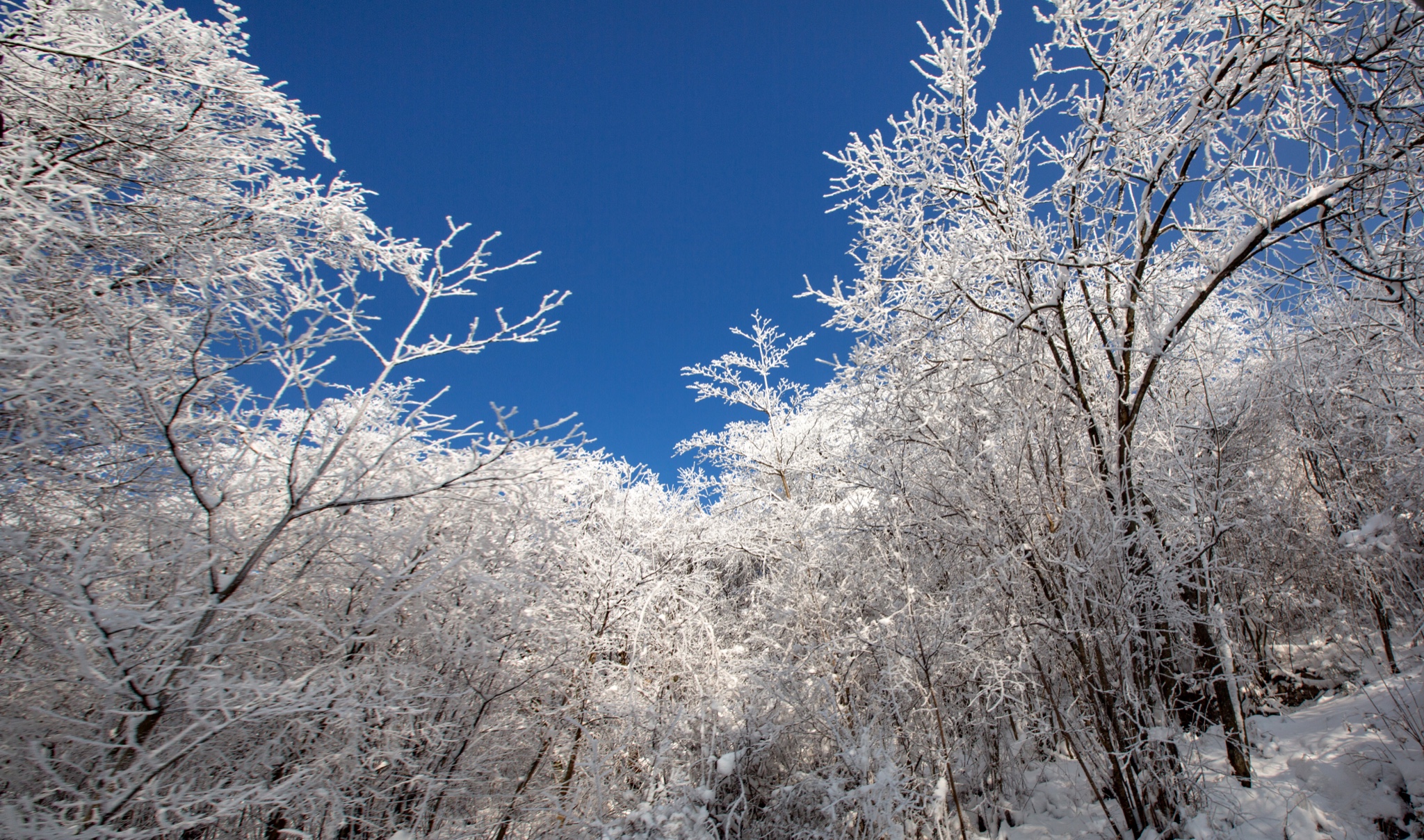 九皇山雪景