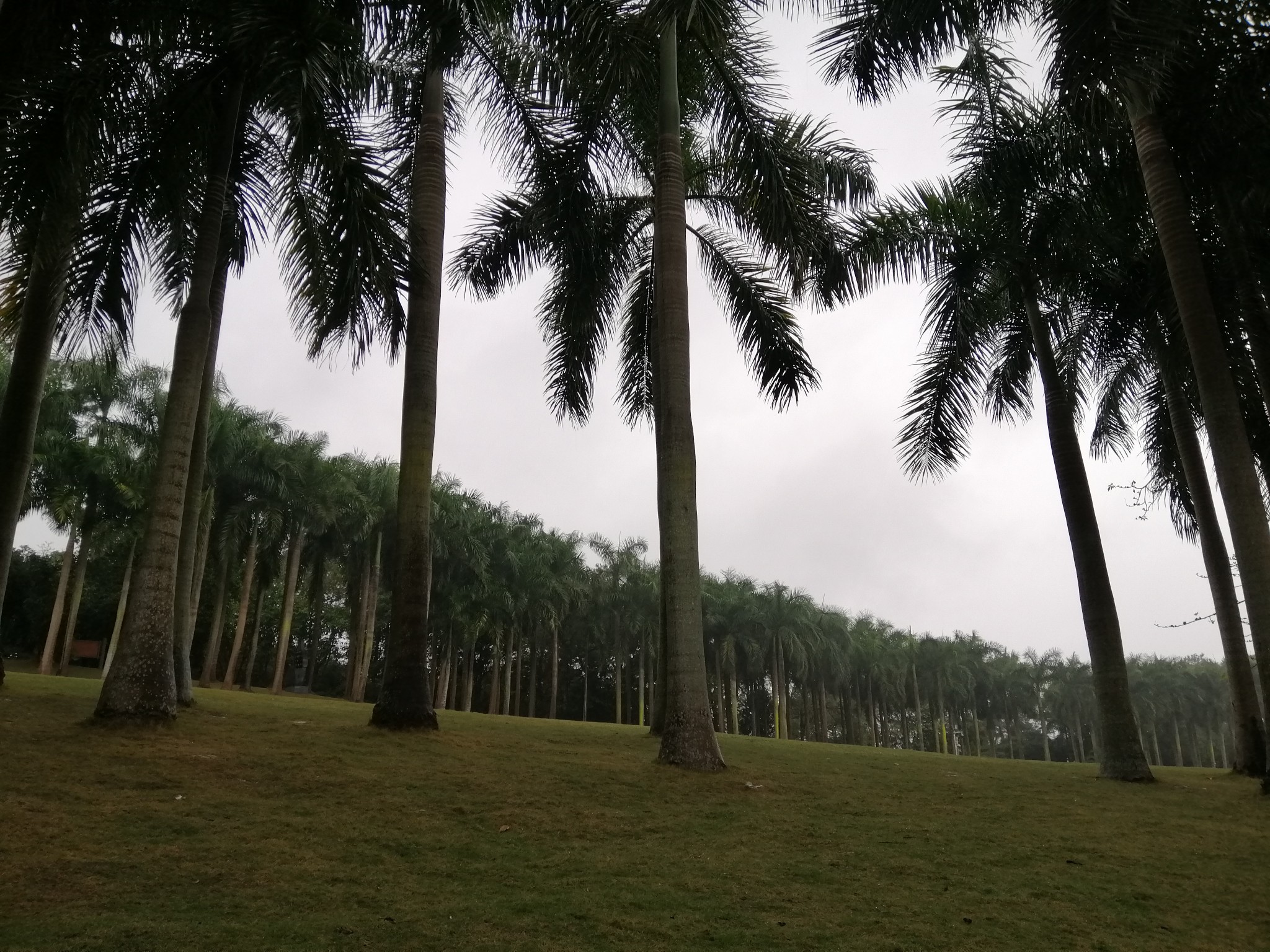 广西云南春游记