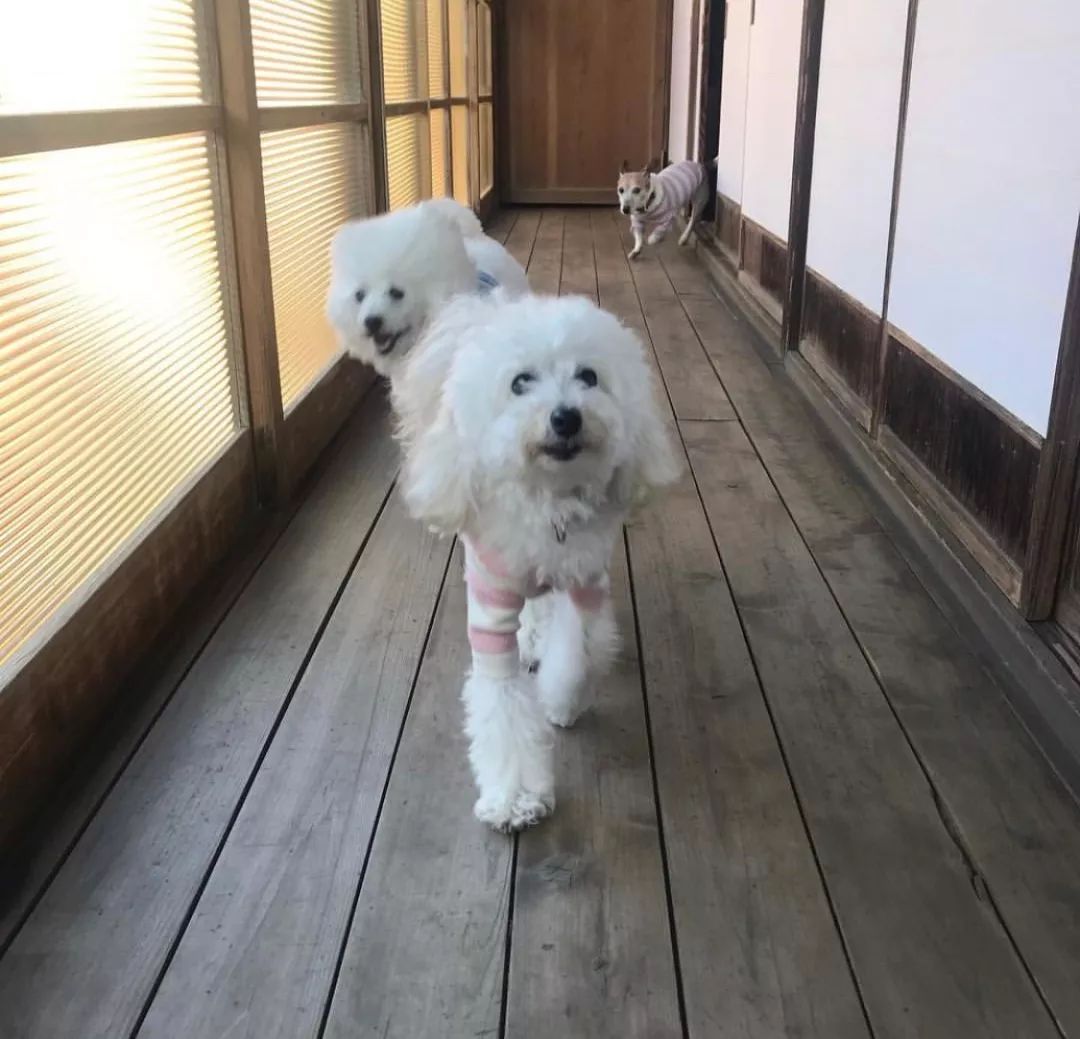 潜派旅行