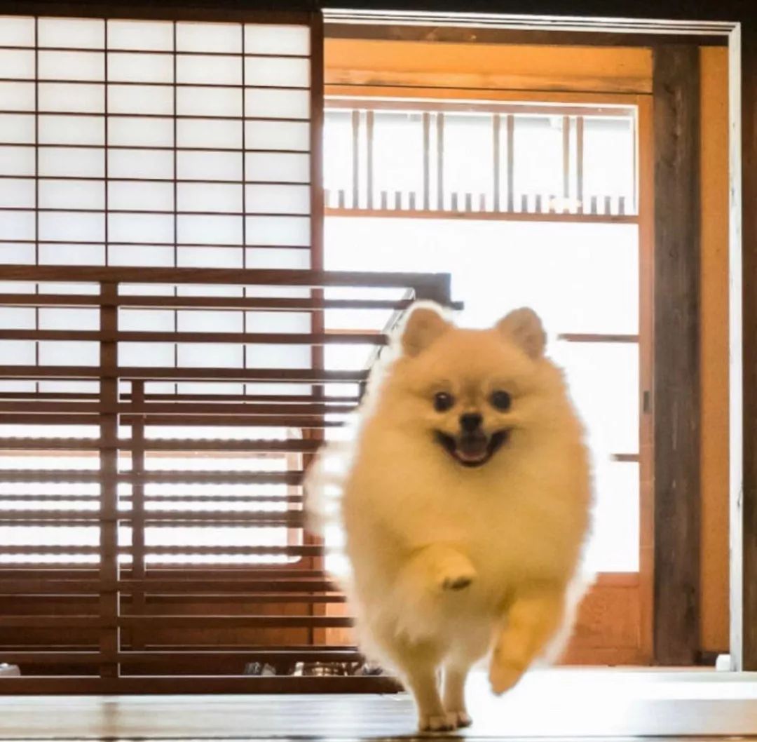 潜派旅行