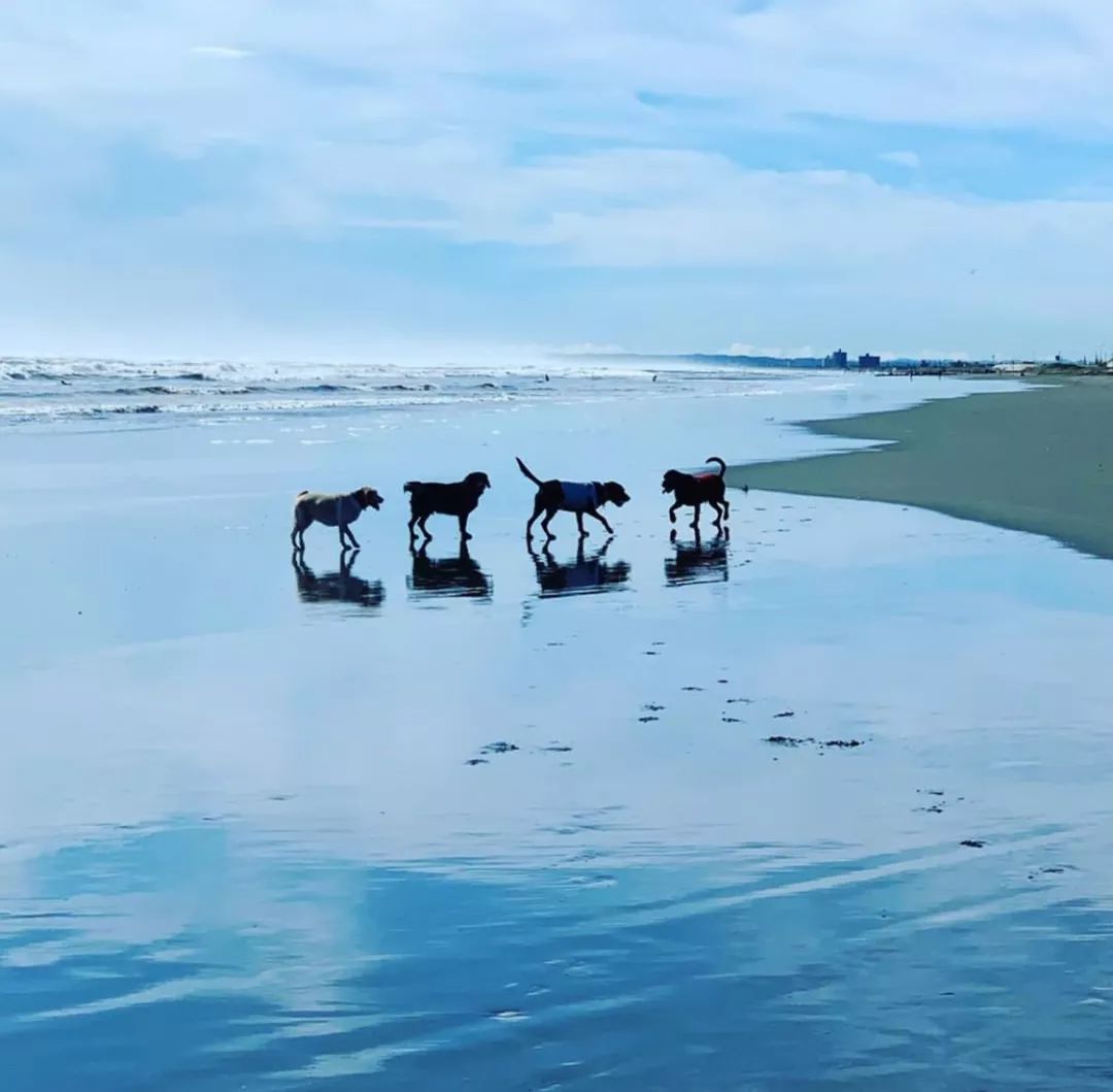 潜派旅行