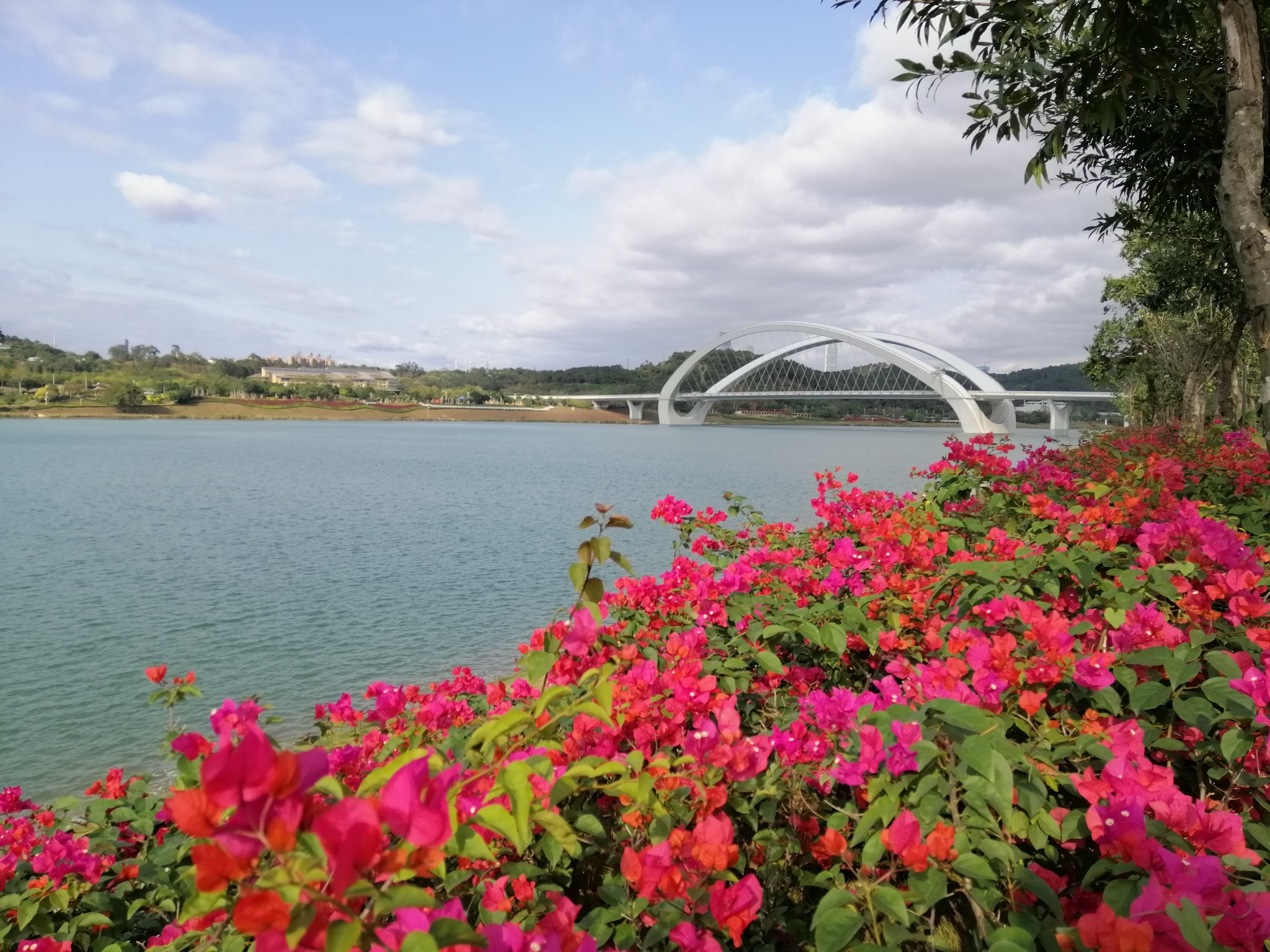 广西云南春游记