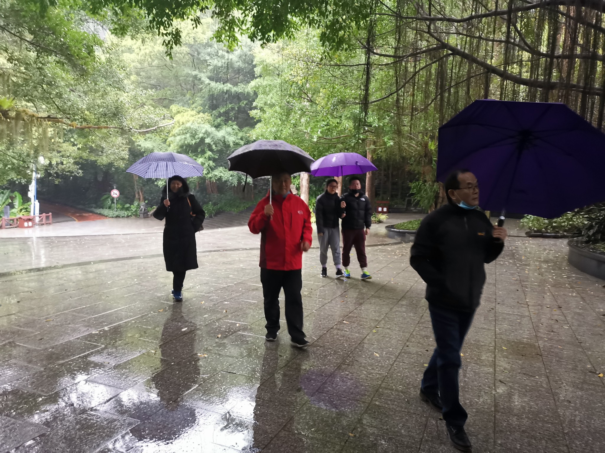 广西云南春游记