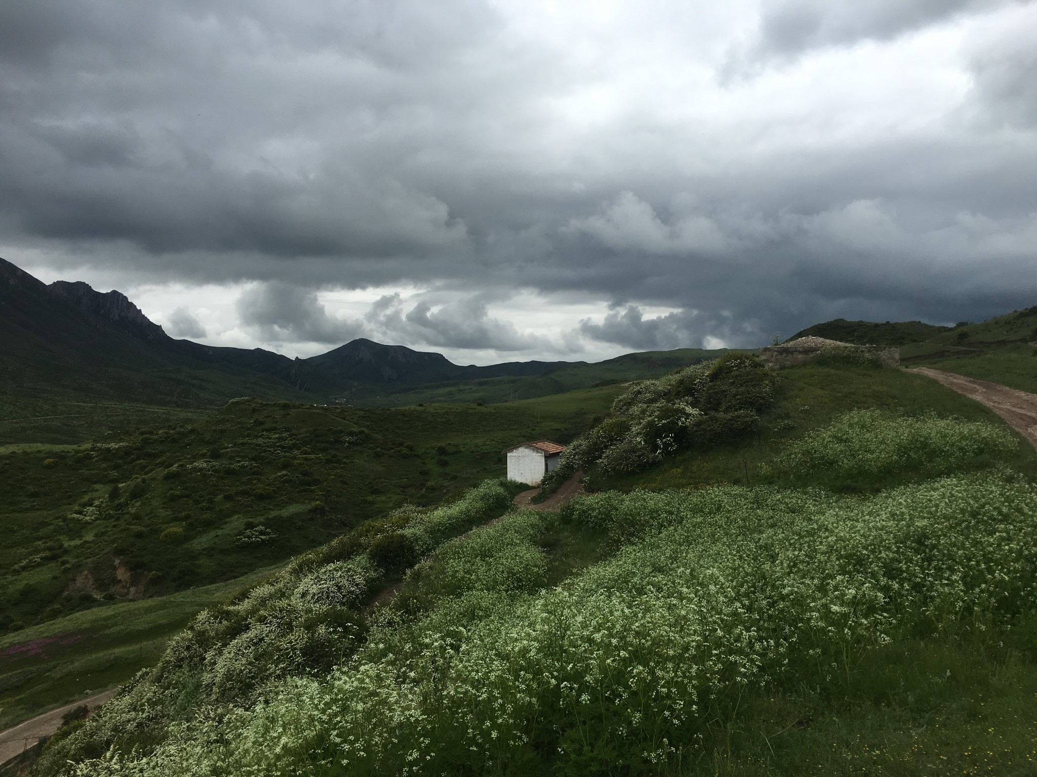有些胆怯的七省边界29天独驾行 续13   甘南州 郎木寺a_游记