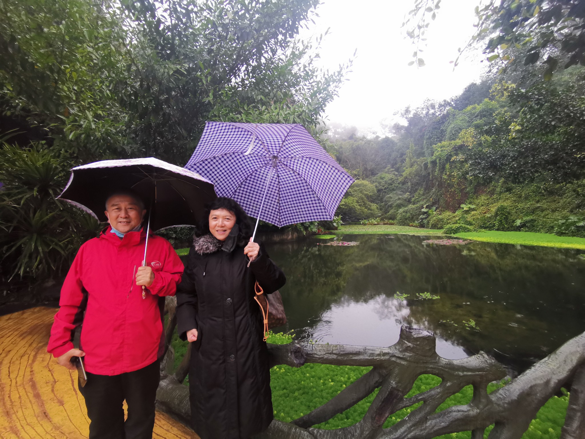 广西云南春游记