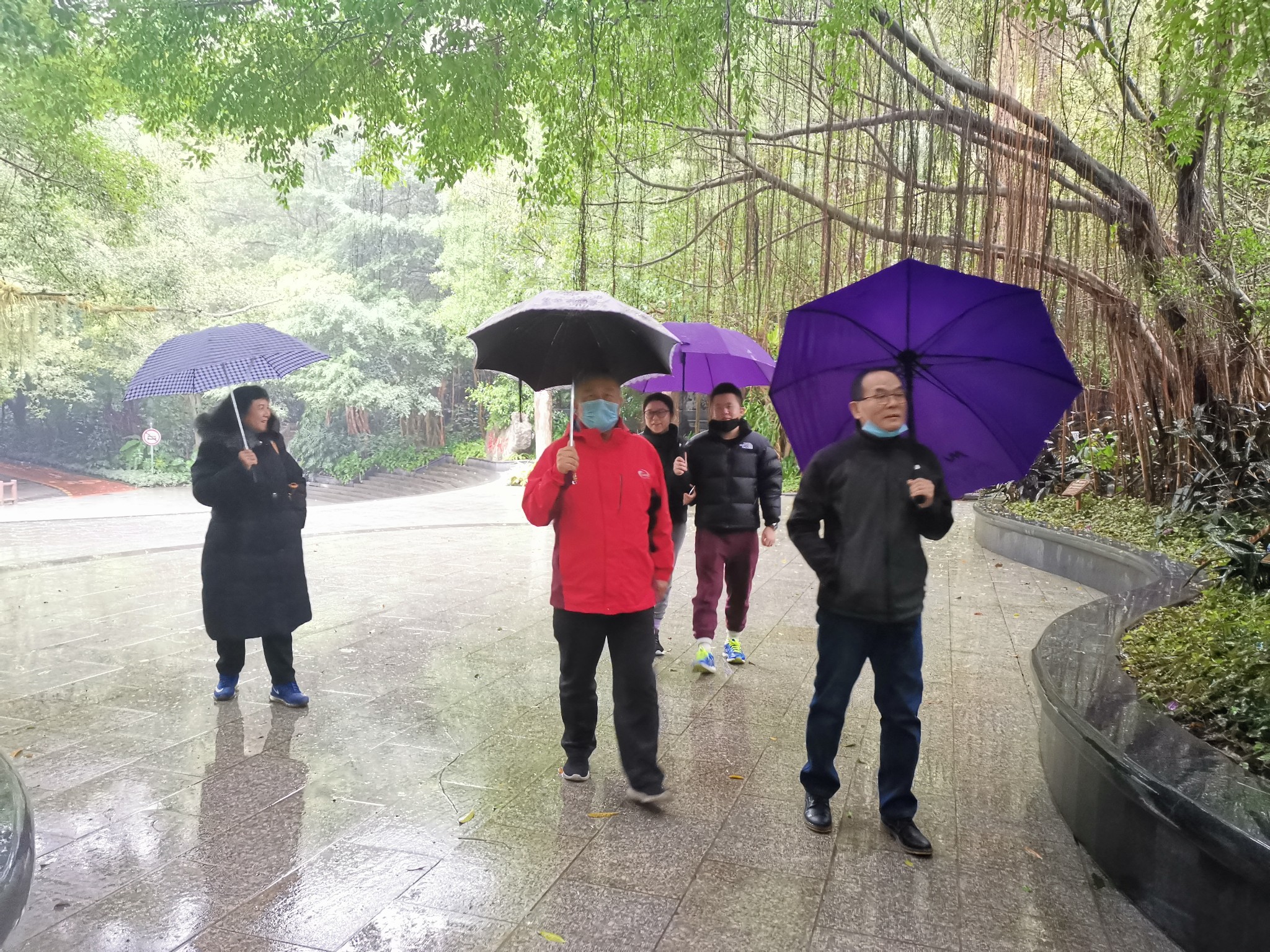 广西云南春游记