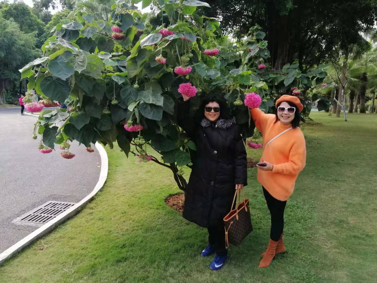 广西云南春游记