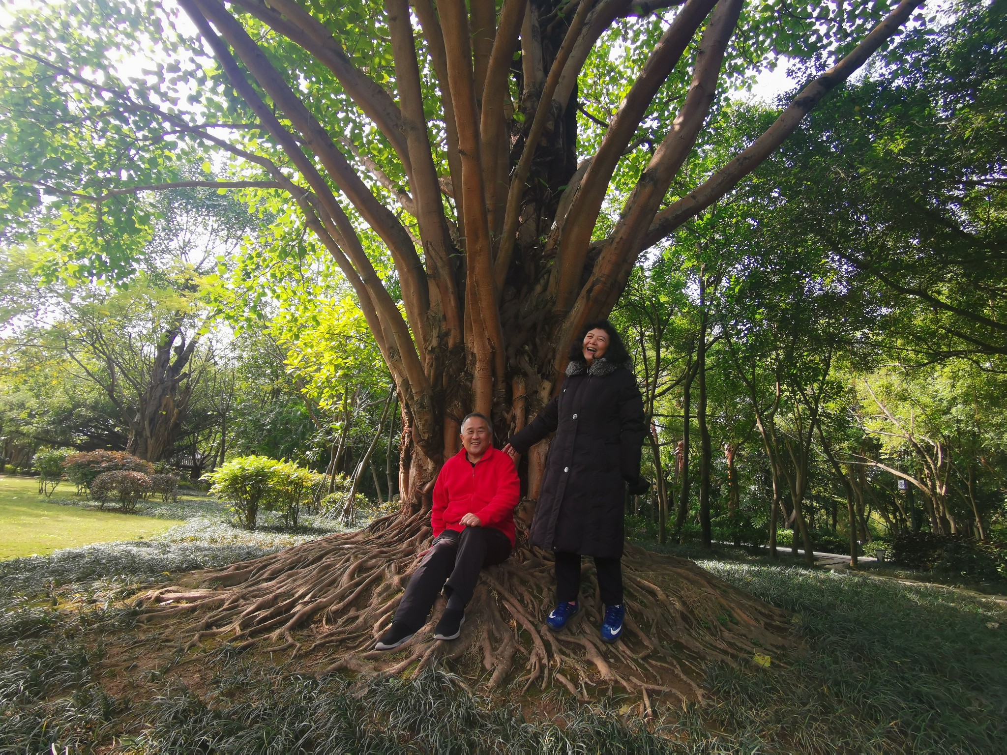 广西云南春游记