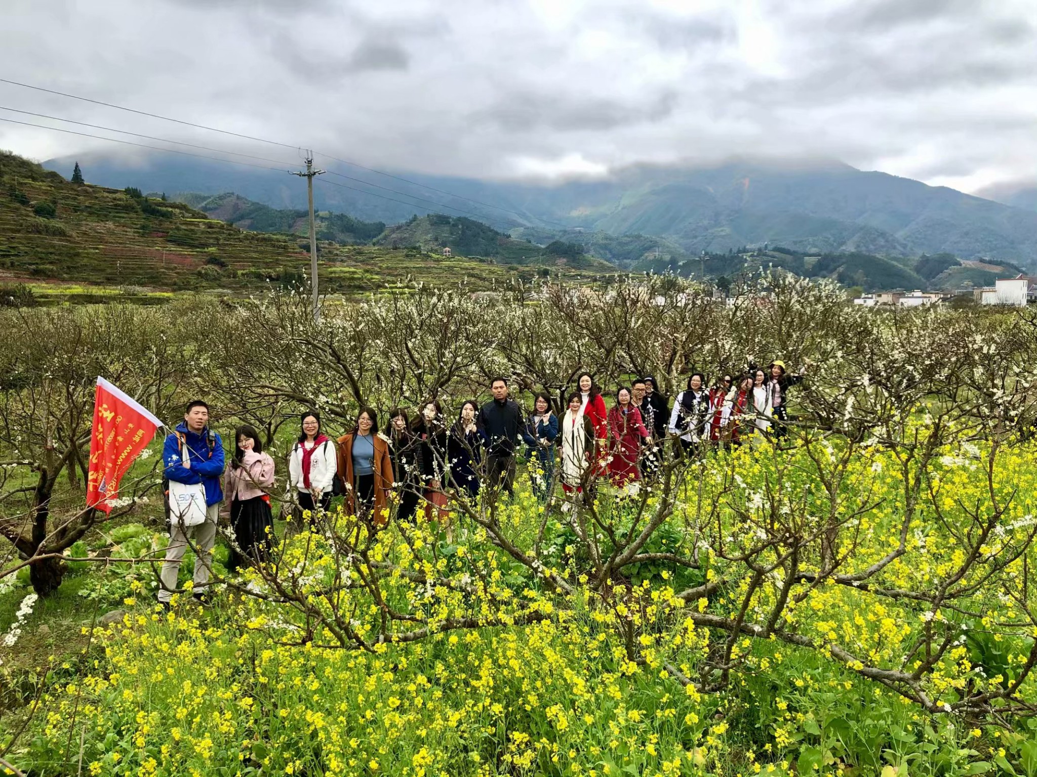 韶关樱花公园 乐昌九峰花海 赏花摄影之旅_游记